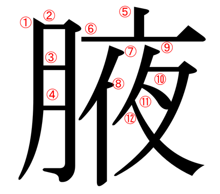月へんに夜 にくづきに夜 腋 の漢字の意味や読み方や部首や画数や熟語や書き方や異体字は モアイライフ More E Life