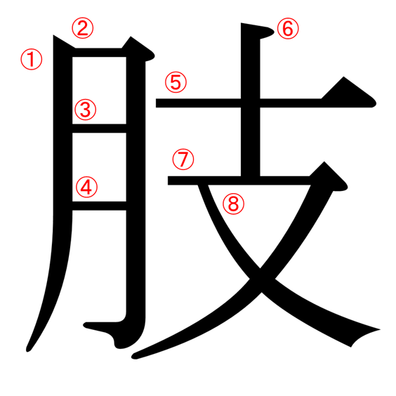 月へんに支える にくづきに支 肢 の漢字の意味や読み方や部首や画数や熟語や書き方や異体字は More E Life